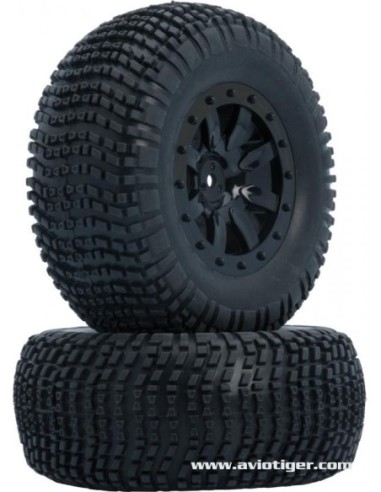 PNEUS MONTES COLLES S10 SC