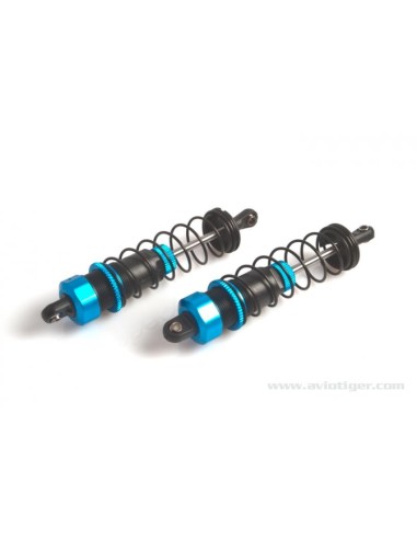 SET AMORTISSEUR ARR S10 MT