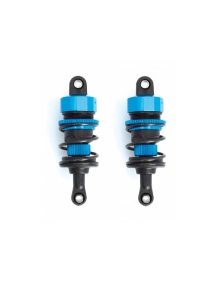 SET AMORTISSEUR S10 TC S2
