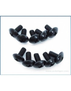 VIS 2.5X5MM METRIQUE S10