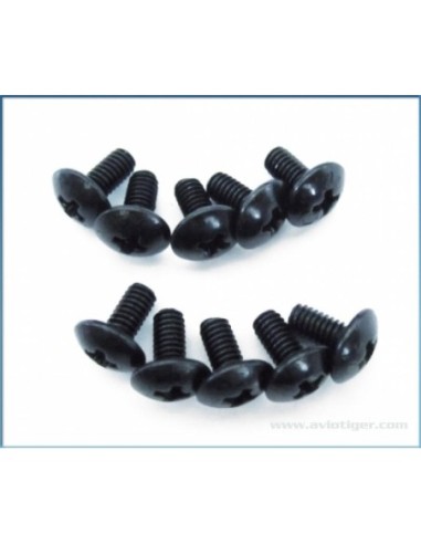 VIS 2.5X5MM METRIQUE S10