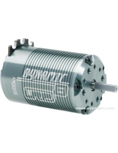 MOTEUR DYNAMIC 8 BRUSHL 1600KV
