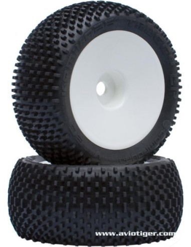 PNEU M COLLE KAMIK LP TRUGGY S